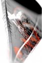 Rossignol Attraxion 3 WTPI² + volitelně bez/s vázáním Saphir 110 TPI²