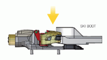 ASA (AUTO SOLE ADJUSTMENT)