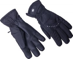 Blizzard Viva Davos Ski Gloves black