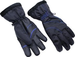 Blizzard Viva Harmonica Ski Gloves black-blue