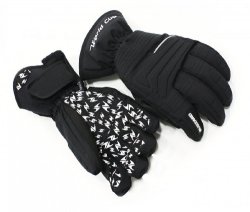 Blizzard World Cup Ski Gloves black