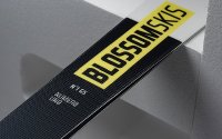Blossom N1 GS + vázání Vist V614 + Vist Alluminum plate