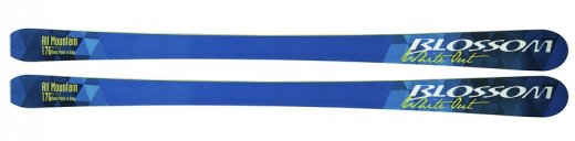 Blossom White Out + volitelně bez/s vázáním Tyrolia LRX 9 System / PRD 12 System