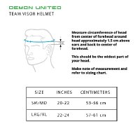 Demon Team Visor Snow black