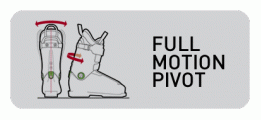 Full Motion Pivot