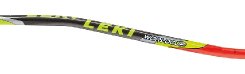 Leki Super G / Downhill S