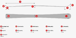 Geometrie lyže Lusti FIS Race GS délky 193 cm