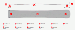 Snowboard Lusti Race Slalom SL- geometrie - 157 cm