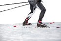 Madshus Redline Skiathlon